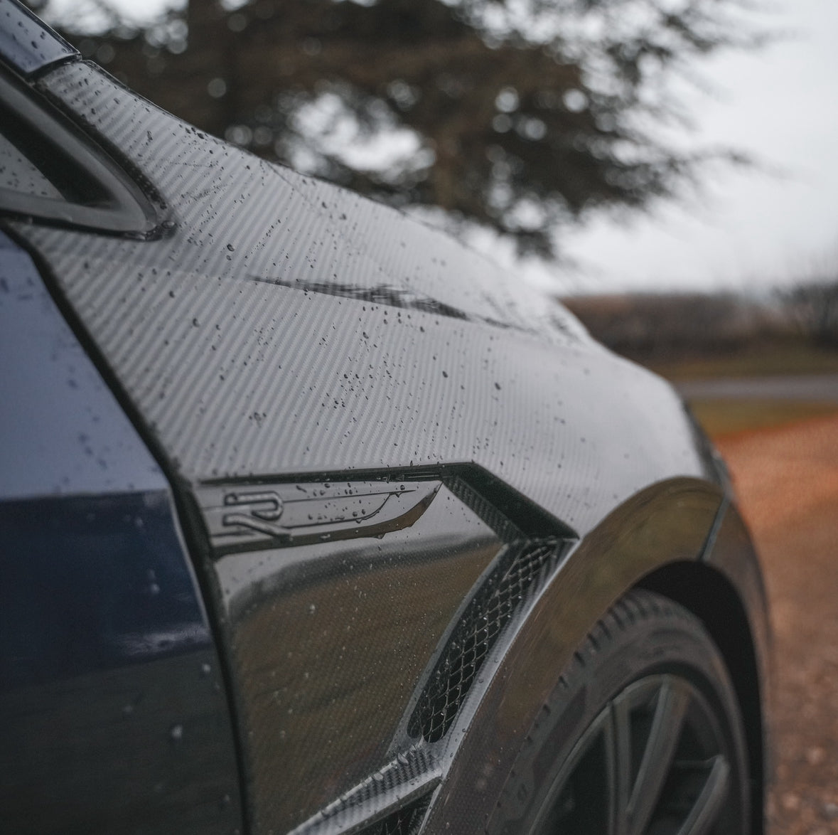 VW GOLF MK8 CARBON FIBRE FRONT FENDERS WINGS (2021-2024)