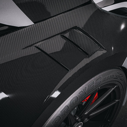 Ford Fiesta MK8 Carbon Fibre Fenders/ Wings (2017-2023) (pair)