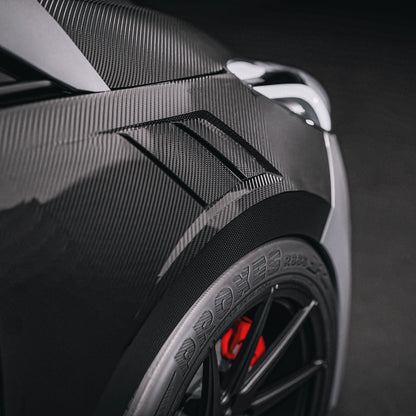 Ford Fiesta MK8 Carbon Fibre Fenders/ Wings (2017-2023) (pair)