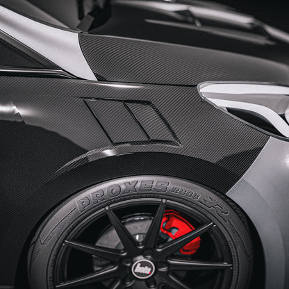 Ford Fiesta MK8 Carbon Fibre Fenders/ Wings (2017-2023) (pair)